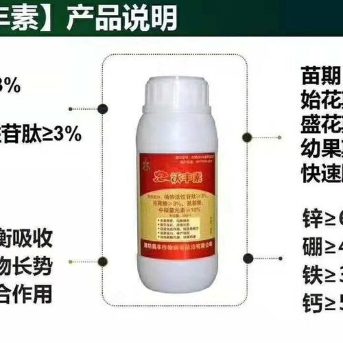 多肉霉斑，通风除湿