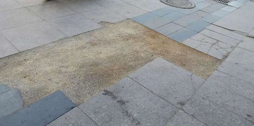 多年生草籽：成活率高， 适应性强