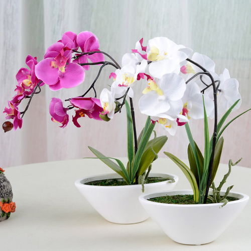 第一步：选对地方，让阳光洒满小苗