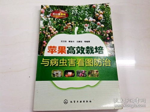 高效防治果树病虫害，保障农业丰收