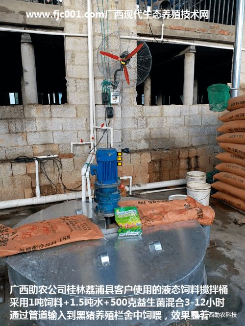 猪舍如何通过通风和饲料配方控制氨气，实现全方案管理？