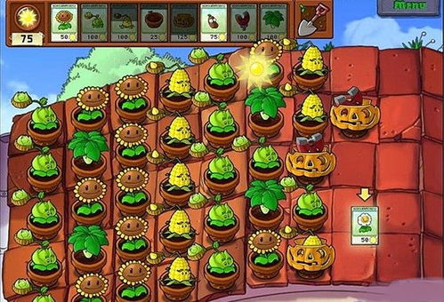 向日葵：阳光下的守护者