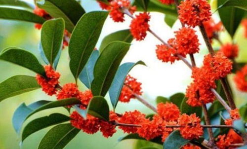 浇水篇：水是生命的源泉