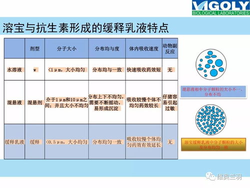 “夏季规模化养殖场高效管理策略”