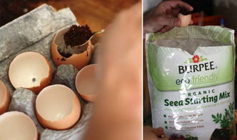 鸡蛋壳：从垃圾到肥料的奇妙转变