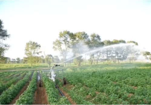 补助种类多， 各有不同