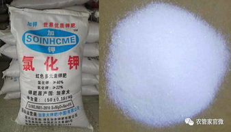 柑橘树忌氯，不宜在含氯环境中生长