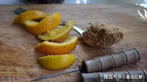 二、适合浇花的水有哪些？