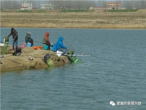 钓鲮鱼调漂正口，需掌握浮漂平衡技巧