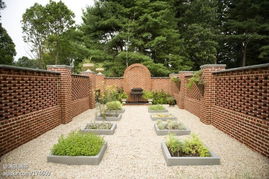 新手种植指南：选对植物， 让院子四季常青