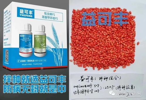 氧化乐果+氰戊菊酯， 杀小麦蚜虫效果不错