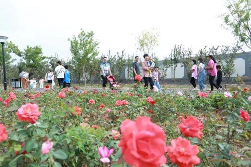 一花一木， 构建美好画卷