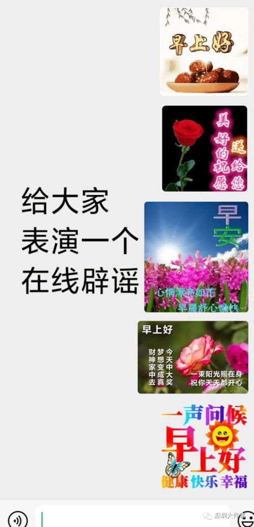 幸福花图片，哪里找