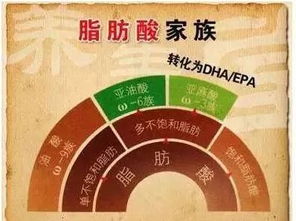 苏子油富含不饱和脂肪酸，有助于改善心血管健康
