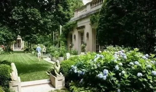 绿化造型， 风格多样