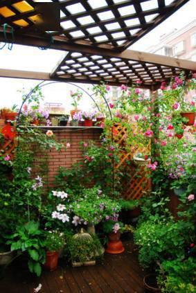 地域特色的花海打造