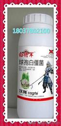 花生专用杀菌剂：探寻神秘力量的真面目