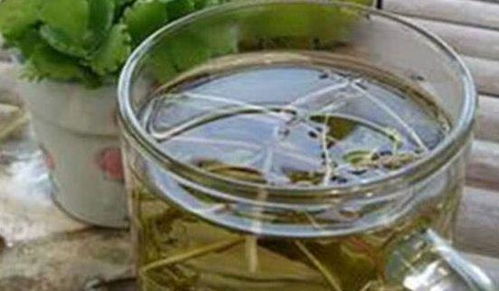 玫瑰花蒲公英泡水，哪些人群饮用更适宜