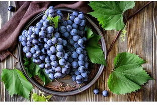 种子存放小窍门