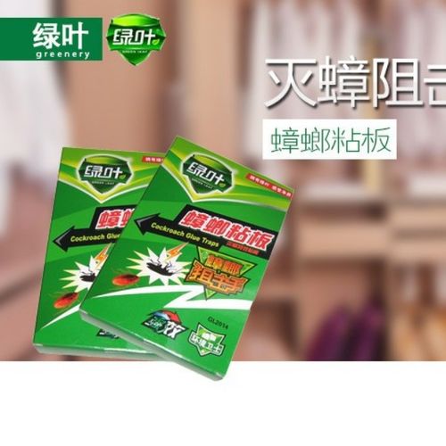 杀虫剂杀蟑螂无毒枪手杀虫剂是否真的能有效且安全地消灭蟑螂？