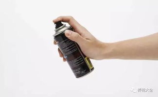 除了杀虫剂，还有哪些方法Ke以处理床底下的昆虫问题？
