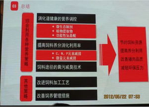 浙江科盛饲料股份有限公司的饲料猪和粮食猪在营养成分和生长周期上有什么区别？