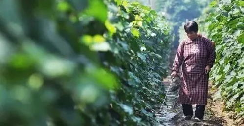 混用需谨慎， 平安第一