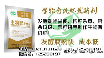 方法三：土壤调理法