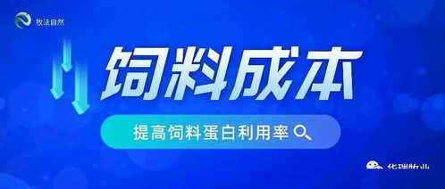 优化饲料配比、加强健康管理、提升养殖环境、实施科学防疫、强化技术培训