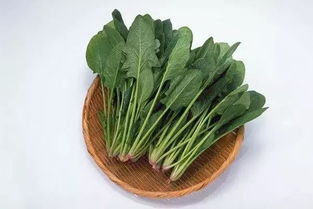 渠道二：拓宽销售渠道，避免滞销