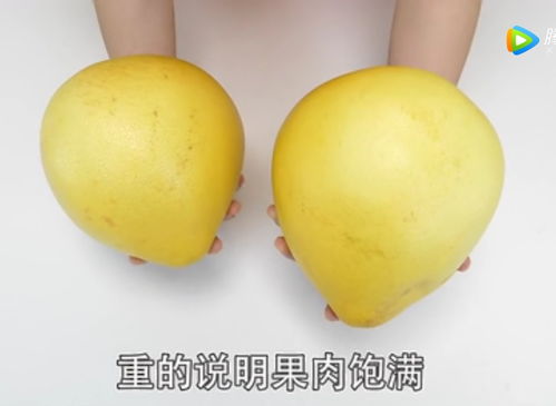 柚子每只重量通常在1-2斤之间
