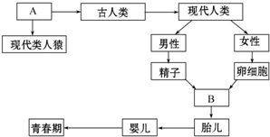浇水时间注意事项