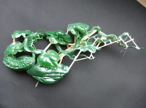 波露叶片肥厚，叶插繁殖技巧大揭秘！