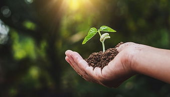 如何减少除草剂对环境的影响