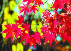 南北差异对照表