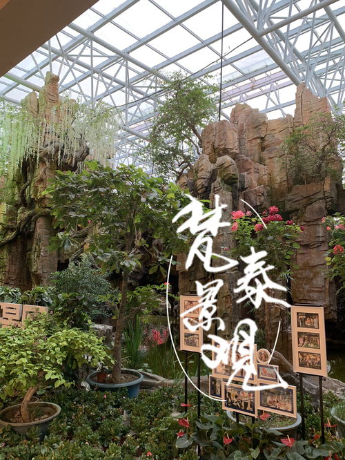 第三步：细节处理