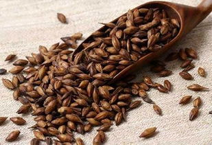 农药对麦芽的影响