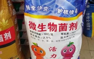 杨树施什么肥料长得快？这几种肥料催长快