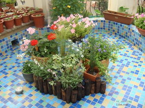 玉兰：纯洁与希望的象征