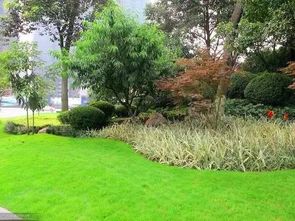 植物配置的基本原则