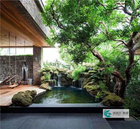 屋里养睡莲，如何才能让它安然度夏