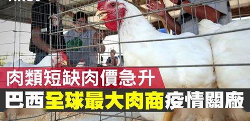 全球肉类巨头JBS发布农业养殖重组新计划