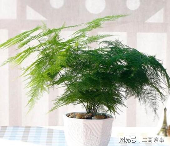 光照：柔、透、转、遮，四字诀记心间