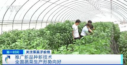 我国科学家成功截获99种花椰菜种子