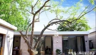 啥叫园林主景和副景呢？