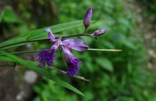 捆扎及时保持整洁