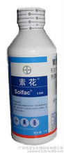 灭白蚁时吡虫啉、联苯菊酯和氟虫腈哪种更有效，它们能否同时用于杀蚂蚁？