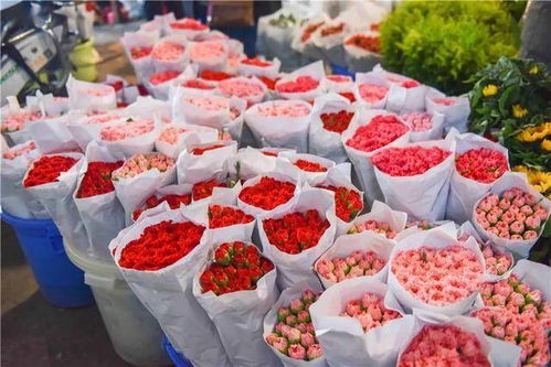 应急妙招：延长鲜花保鲜的小秘密