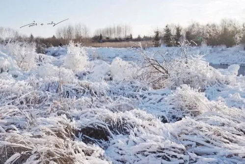 冬日瑜伽的启示