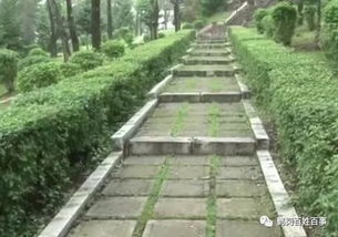 美化环境， 保护生态